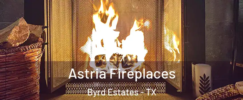 Astria Fireplaces Byrd Estates - TX