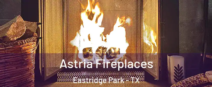 Astria Fireplaces Eastridge Park - TX