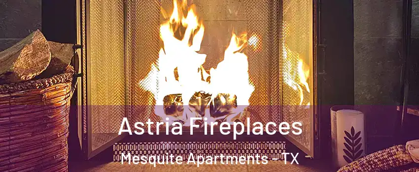 Astria Fireplaces Mesquite Apartments - TX