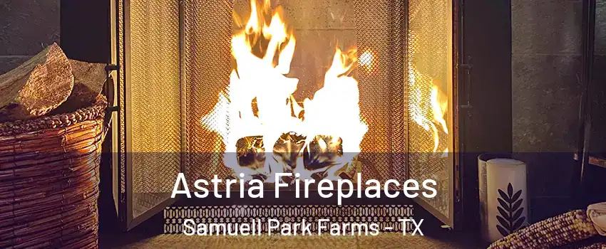 Astria Fireplaces Samuell Park Farms - TX