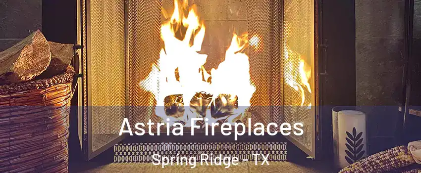 Astria Fireplaces Spring Ridge - TX
