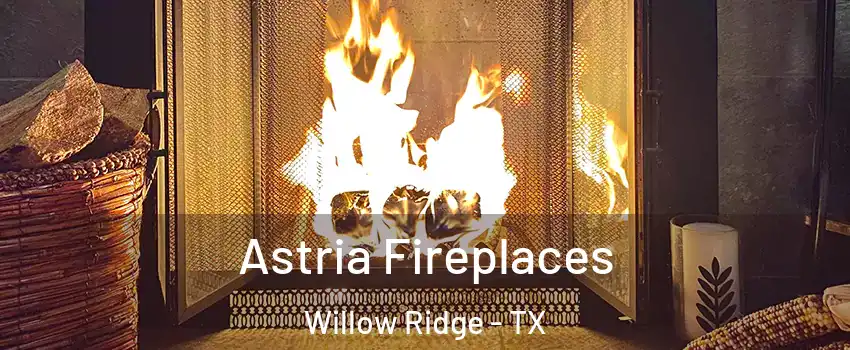 Astria Fireplaces Willow Ridge - TX