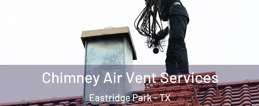 Chimney Air Vent Services Eastridge Park - TX