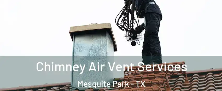 Chimney Air Vent Services Mesquite Park - TX