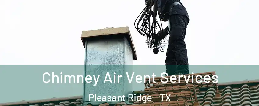 Chimney Air Vent Services Pleasant Ridge - TX