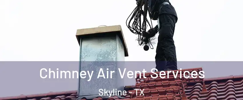 Chimney Air Vent Services Skyline - TX