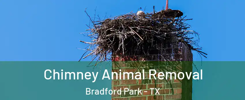 Chimney Animal Removal Bradford Park - TX