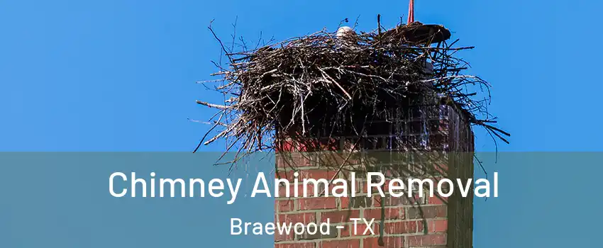 Chimney Animal Removal Braewood - TX