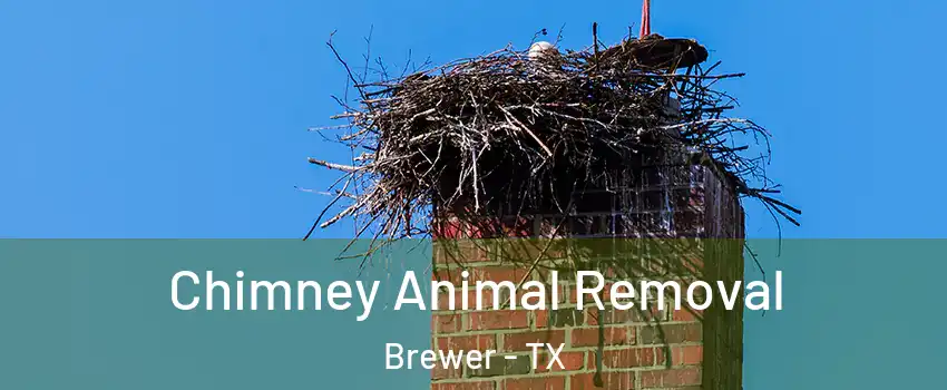 Chimney Animal Removal Brewer - TX