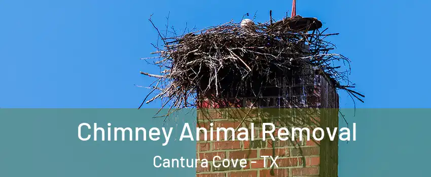 Chimney Animal Removal Cantura Cove - TX