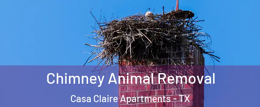 Chimney Animal Removal Casa Claire Apartments - TX