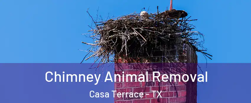 Chimney Animal Removal Casa Terrace - TX