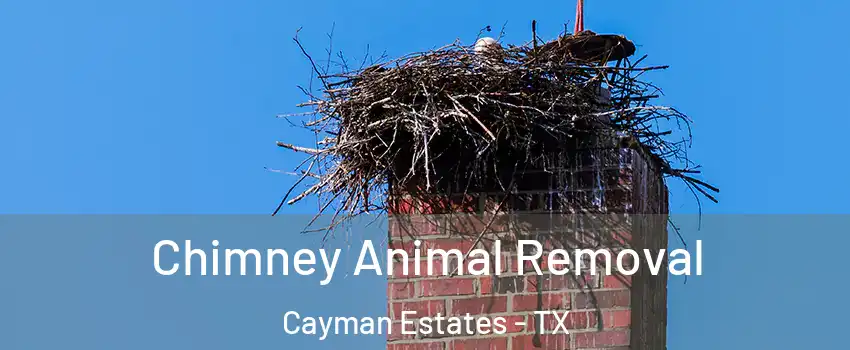 Chimney Animal Removal Cayman Estates - TX
