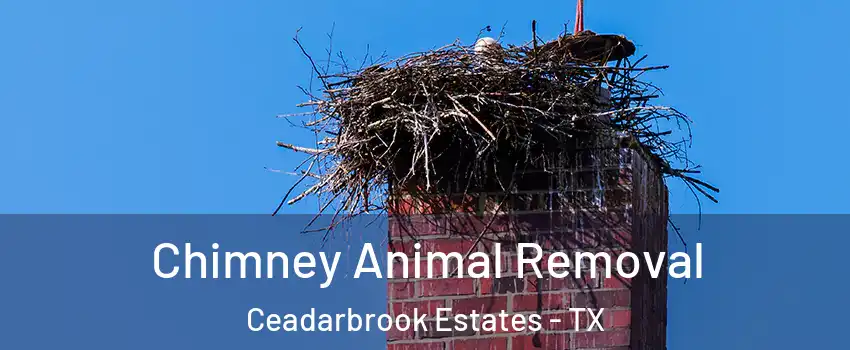 Chimney Animal Removal Ceadarbrook Estates - TX