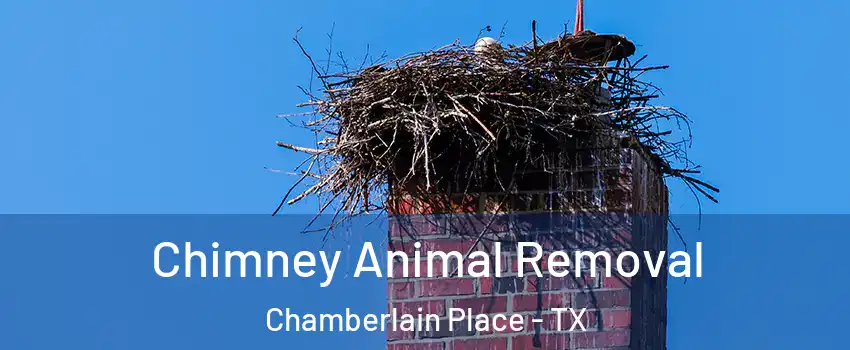 Chimney Animal Removal Chamberlain Place - TX