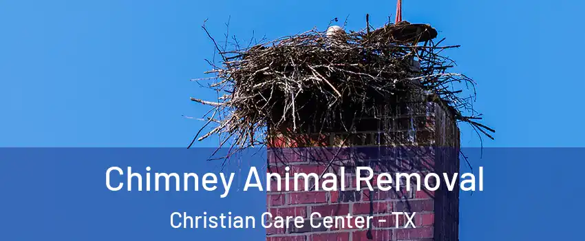 Chimney Animal Removal Christian Care Center - TX