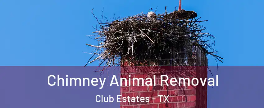 Chimney Animal Removal Club Estates - TX