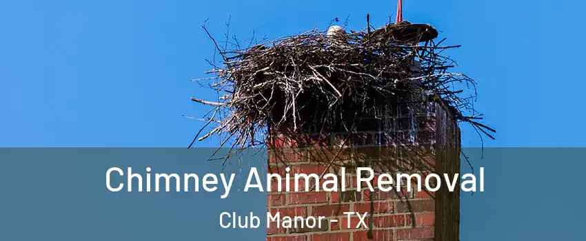 Chimney Animal Removal Club Manor - TX