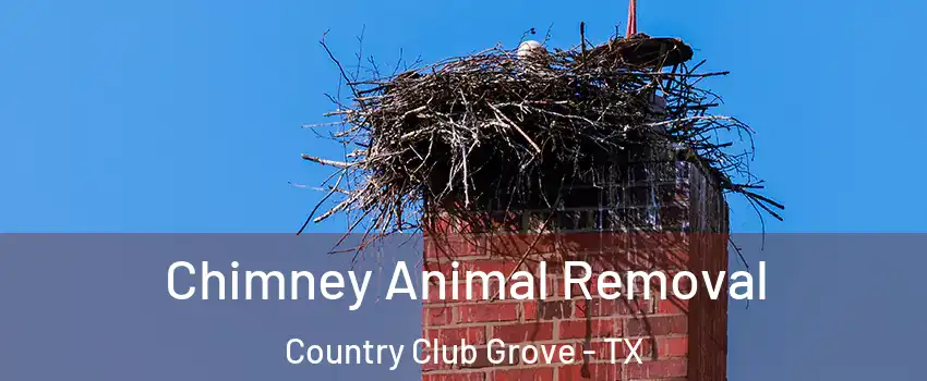 Chimney Animal Removal Country Club Grove - TX