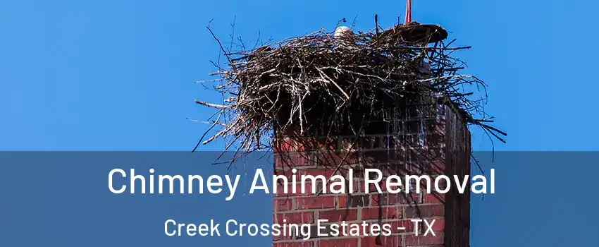 Chimney Animal Removal Creek Crossing Estates - TX