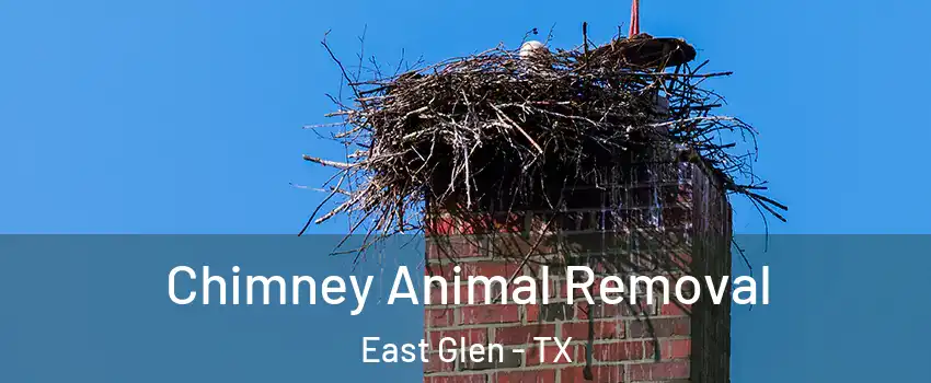Chimney Animal Removal East Glen - TX
