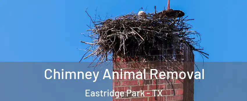Chimney Animal Removal Eastridge Park - TX