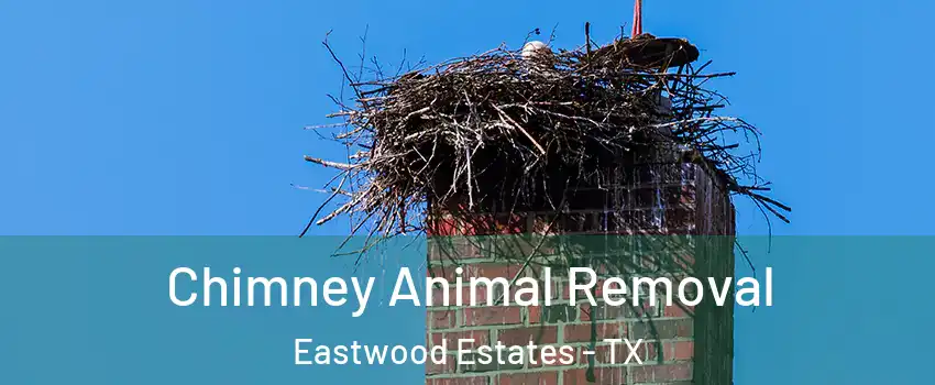 Chimney Animal Removal Eastwood Estates - TX