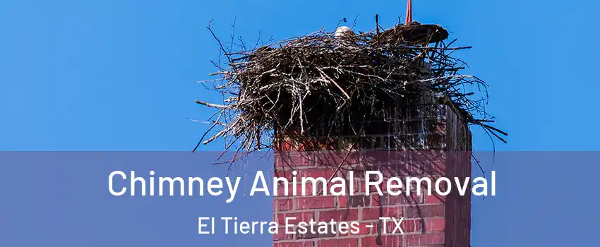 Chimney Animal Removal El Tierra Estates - TX