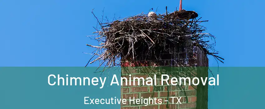 Chimney Animal Removal Executive Heights - TX