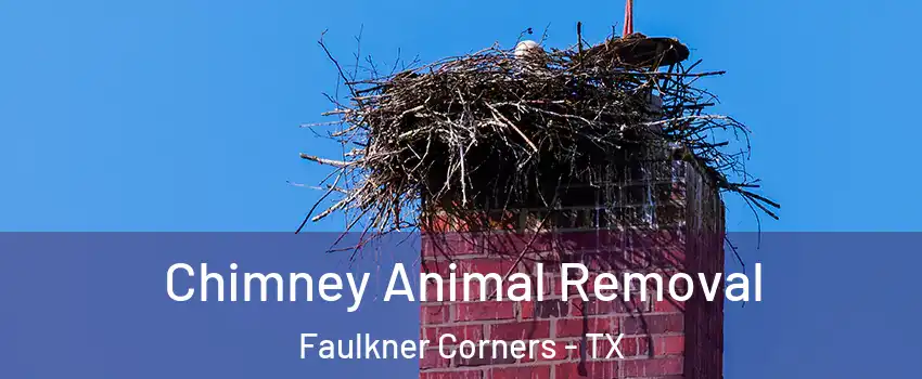 Chimney Animal Removal Faulkner Corners - TX