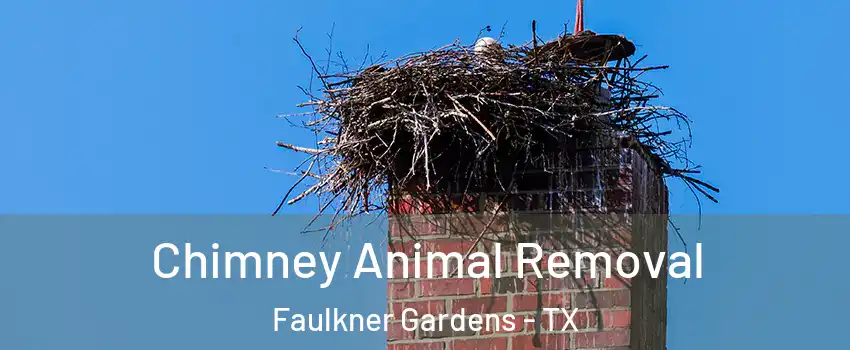 Chimney Animal Removal Faulkner Gardens - TX