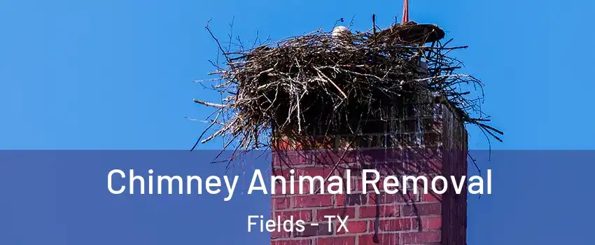 Chimney Animal Removal Fields - TX