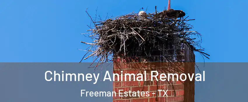 Chimney Animal Removal Freeman Estates - TX