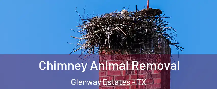 Chimney Animal Removal Glenway Estates - TX