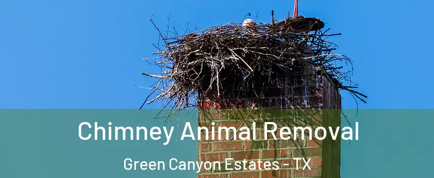 Chimney Animal Removal Green Canyon Estates - TX
