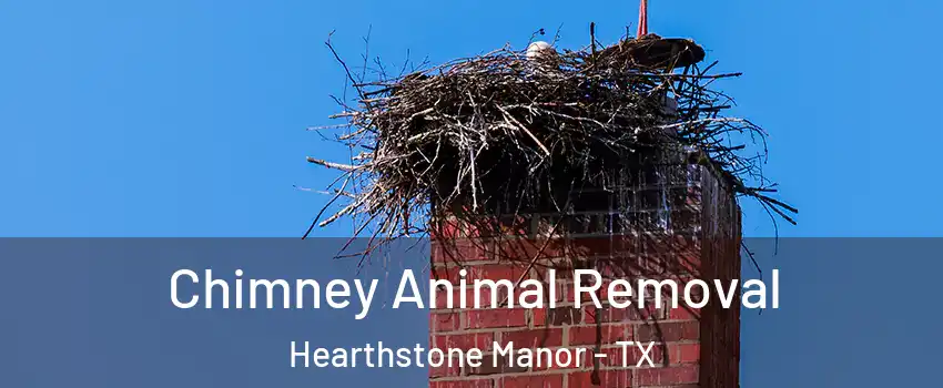 Chimney Animal Removal Hearthstone Manor - TX