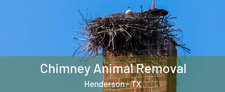 Chimney Animal Removal Henderson - TX