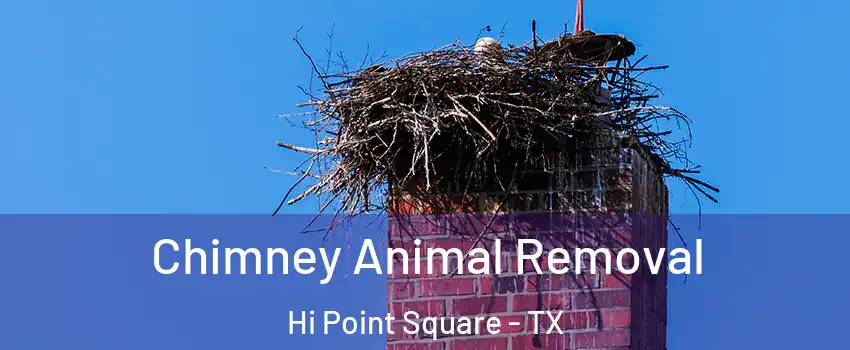 Chimney Animal Removal Hi Point Square - TX