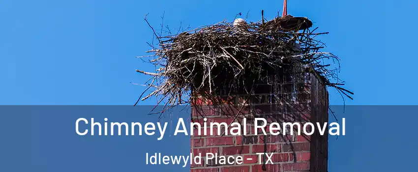 Chimney Animal Removal Idlewyld Place - TX