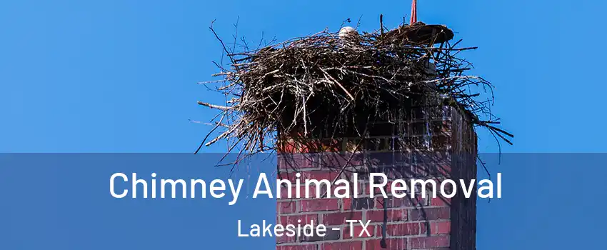 Chimney Animal Removal Lakeside - TX