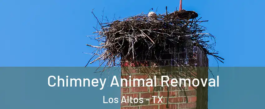 Chimney Animal Removal Los Altos - TX