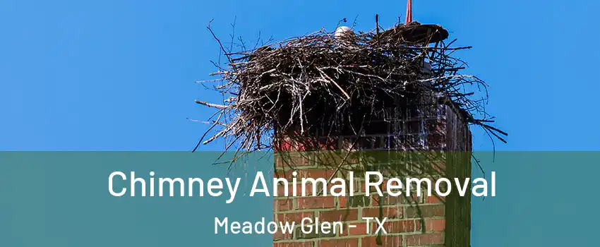Chimney Animal Removal Meadow Glen - TX