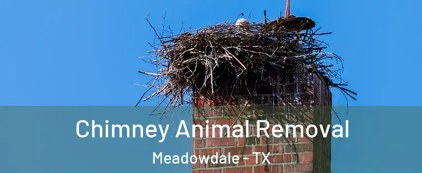 Chimney Animal Removal Meadowdale - TX