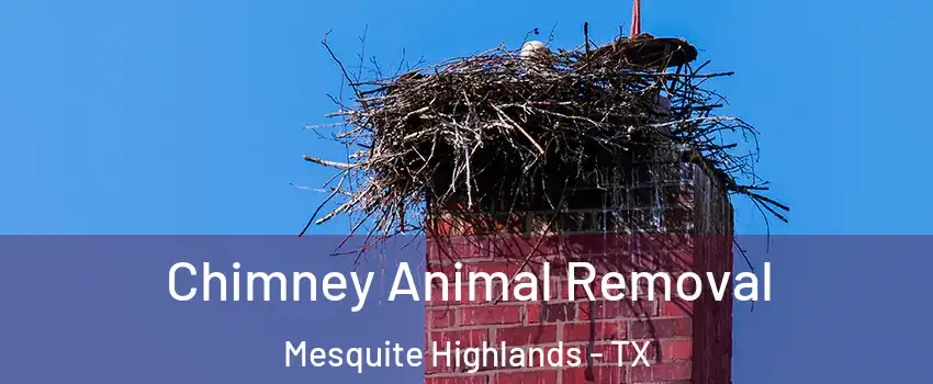 Chimney Animal Removal Mesquite Highlands - TX