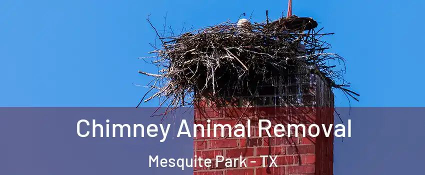 Chimney Animal Removal Mesquite Park - TX