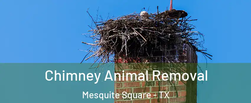 Chimney Animal Removal Mesquite Square - TX