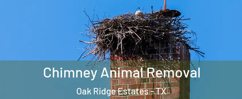 Chimney Animal Removal Oak Ridge Estates - TX
