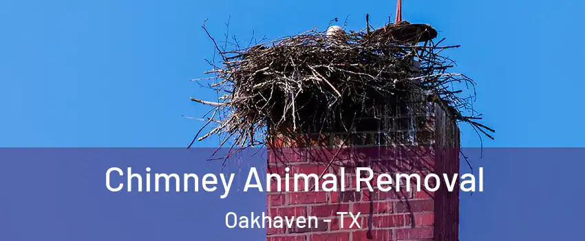 Chimney Animal Removal Oakhaven - TX