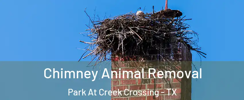 Chimney Animal Removal Park At Creek Crossing - TX