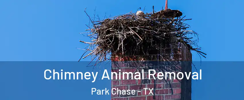 Chimney Animal Removal Park Chase - TX